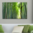 Tableau Foret de Bambous Tableaux Nature Gali Art