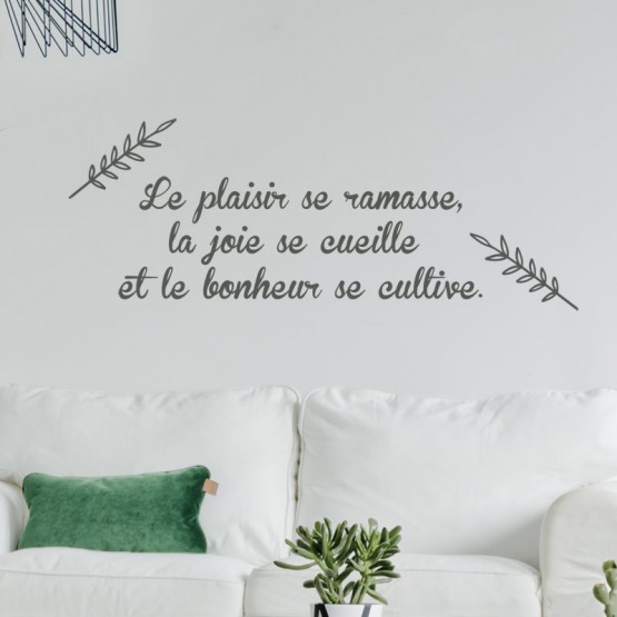 Sticker Citation Plaisir Joie Bonheur Stickers Muraux Texte Positif Gali Art Com