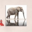Tableau Elephant miroir Tableaux Animaux Gali Art