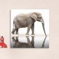 Tableau Elephant miroir Tableaux Animaux Gali Art