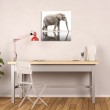 Tableau Elephant miroir Tableaux Animaux Gali Art