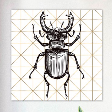 Tableau Lucane Graphique