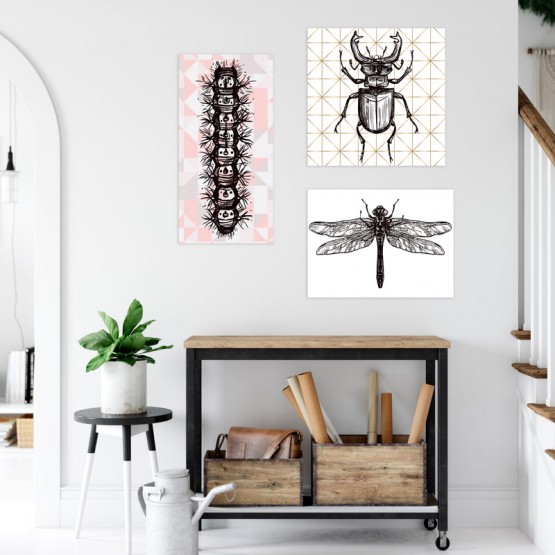 Tableau insecte pour déco naturaliste